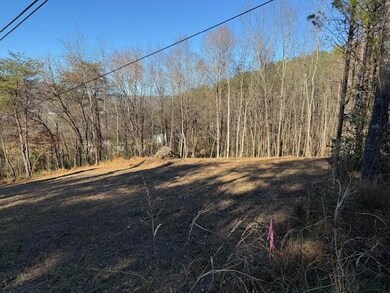 22 Moon Cir, Spring City, TN 37381 - photo 2