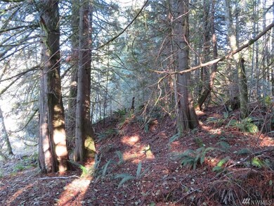 0 Wayne Rd W, Seabeck, WA 98380 - photo 2