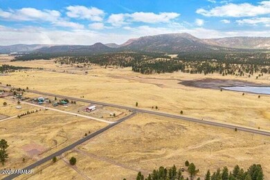 440 2104 unit 5J, Alpine, AZ 85920 - photo 6