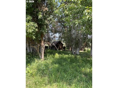 0 Cornucopia Hwy, Halfway, OR 97834 - photo 3