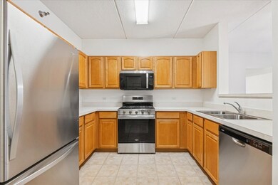 440 W Mahogany Ct unit 203, Palatine, IL 60067 - photo 4
