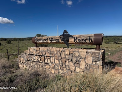 3132 Apollo Ave, Williams, AZ 86046 - photo 2