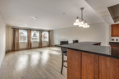 Washington on the Square unit 410, Brookline, MA 02446 - photo 7