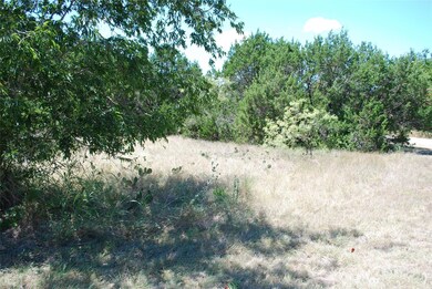 29021 Whisperwood Dr & Radde Rd, Whitney, TX 76692 - photo 7