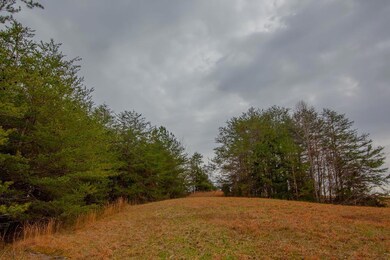 Lot 25 River Front Dr Dr, Sparta, TN 38583 - photo 5