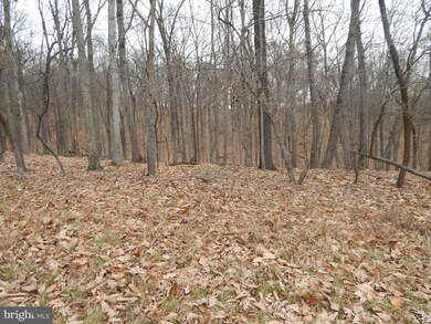 0 Pioneer Trail unit WVMO116368, Great Cacapon, WV 25422 - photo 3