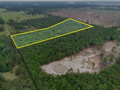 Tract 2 Smith Rd, Cleveland, TX 77328 - photo 6