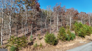 LOT 184 N Shore Dr, Cleveland, GA 30528 - photo 6