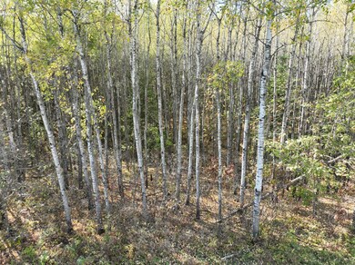 TBD NW Cedar Crest Loop, Walker, MN 56484 - photo 4