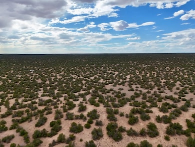 Tbd N7112, Saint Johns, AZ 85936 - photo 5