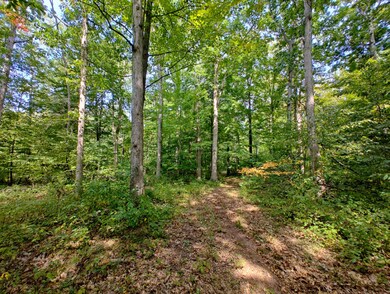 IMG_20250909_132607263_HDR