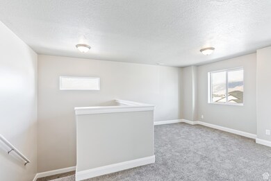 Unfurnished room featuring carpet and a textured ceiling