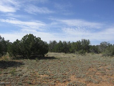 Itasca 5 Acres 008 - Copy