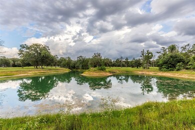 1126 Abel Rd, New Ulm, TX 78950 - photo 4