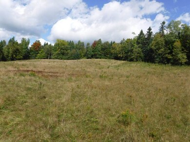 37 Ippolitos Dr, Colebrook, NH 03576 - photo 3