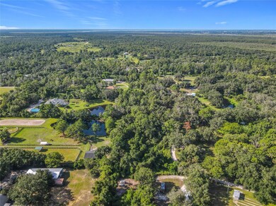 13 Bobcat Ln, Osteen, FL 32764 - photo 5