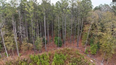 1319 Lake Shore Dr, Camden, SC 29020 - photo 7