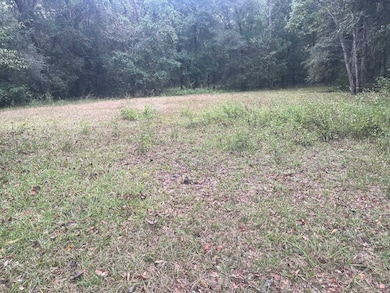 Lot 14 Jean Dr, Crawfordville, FL 32327 - photo 3