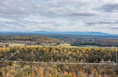 Outline of all 67 acres