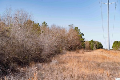 0 China Grove Rd, Ruston, LA 71270 - photo 3