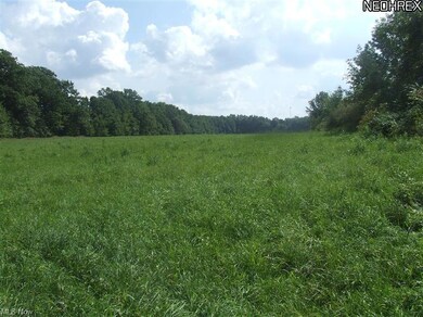 East field behind pond