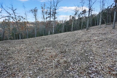 277 Whippoorwill Hollow Trail, Kimberling City, MO 65686 - photo 5