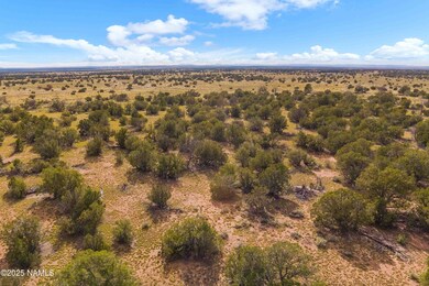 3697 E South Rim Ranch Rd unit A, Valle, AZ 86046 - photo 2