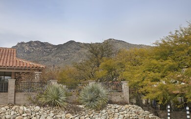 A_MG_0203