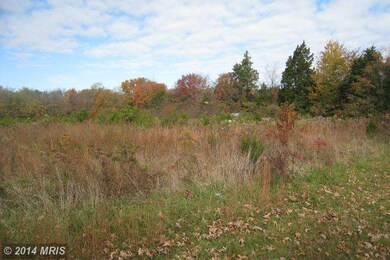 4424 Flint Path Ln, Midland, VA 22728 - photo 4