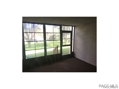 333 E Hartford St, Hernando, FL 34442 - photo 6