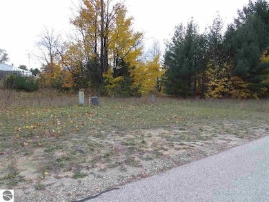 Lot 67 Eden St, Kingsley, MI 49649 - photo 5