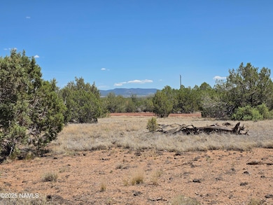 1804 N Frances Ln, Williams, AZ 86046 - photo 2