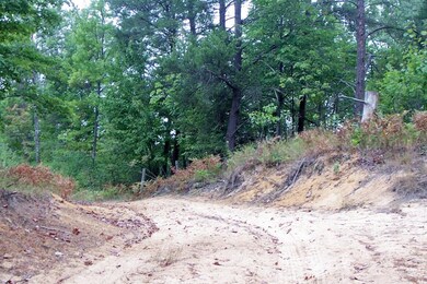 Trails throughout