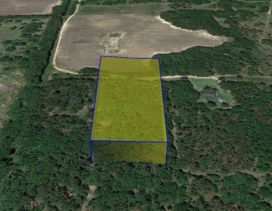 0000 Beulah Ln, Baconton, GA 31716 - photo 5