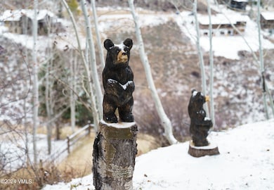 4747 Wildridge Rd, Avon, CO 81620 - photo 7