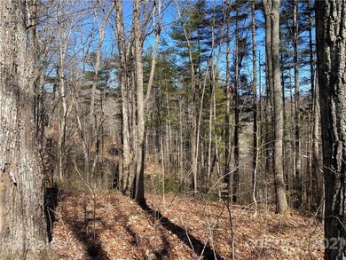 Lot 7 Riverside Hills Rd unit 7, Burnsville, NC 28714 - photo 2