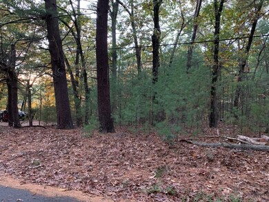 5B Seymour St, Concord, MA 01742 - photo 6