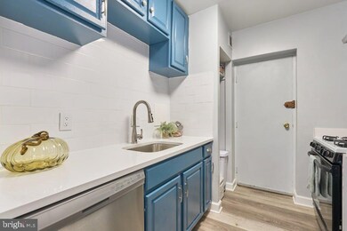 3601 5th St S unit 210, Arlington, VA 22204 - photo 6