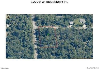 12770 W Rosemary Place, Crystal River, FL 34428 - photo 2