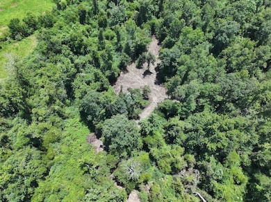 La Hwy 1058 unit LotWP001, Kentwood, LA 70444 - photo 2