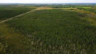 TBD State Highway 210 W, McGregor, MN 55760 - photo 7