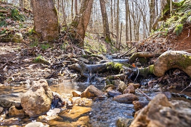 1 Ferry Rd, Clarksville, TN 37040 - photo 3