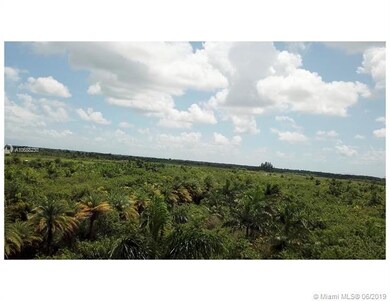 20690 Charles Green Blvd, Loxahatchee, FL 33470 - photo 2