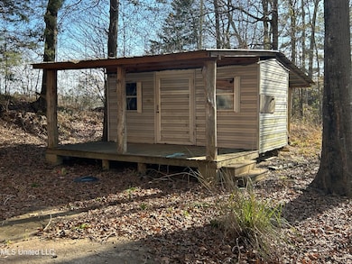 1012 Kern Ln, Crystal Springs, MS 39059 - photo 5