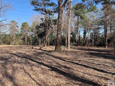 TBD Old Blackman Ferry Rd, Texarkana, AR 71854 - photo 7