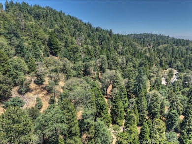 0 Pine unit IG25156077, Twin Peaks, CA 92391 - photo 7