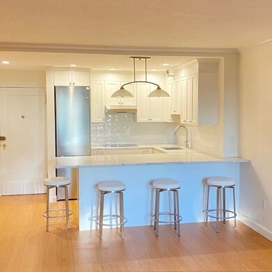 145 Pinckney St Concierge Bldg unit 129, Boston, MA 02114 - photo 3