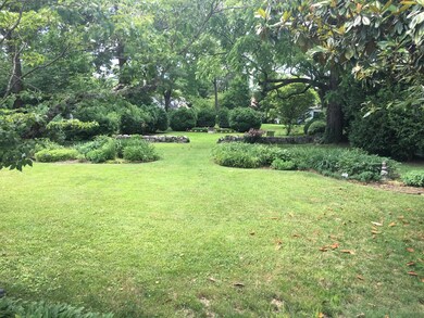 Back yard in Spring