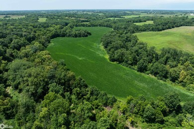 TBD Driftwood Blvd, Bloomfield, IA 52537 - photo 7