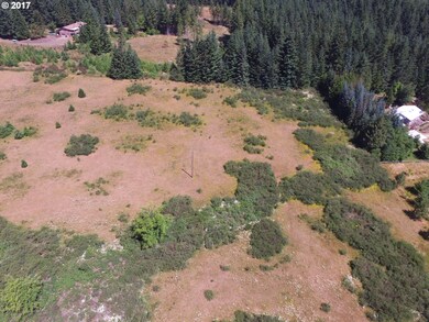 0 Mountain Springs Dr, Sheridan, OR 97378 - photo 2